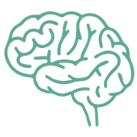Brain Fog