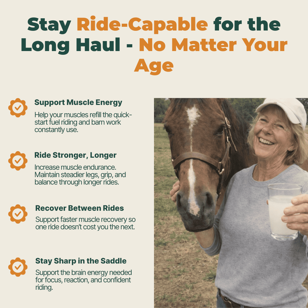 Stable Body | 100% Pure Creatine Monohydrate