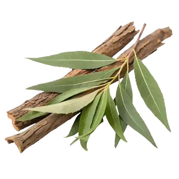White Willow Bark Extract