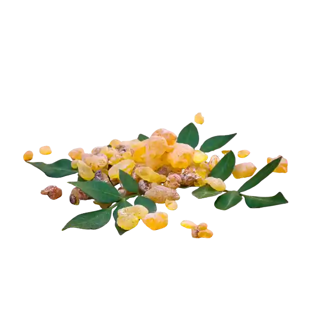 Boswellia Serrata Extract