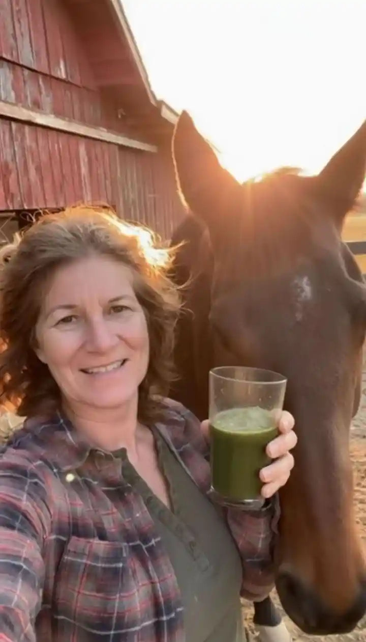 Happy Horse Rider 4