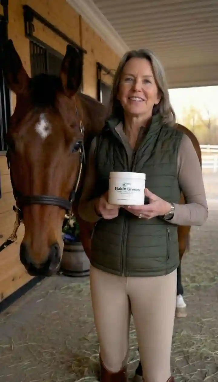 Happy Horse Rider 6