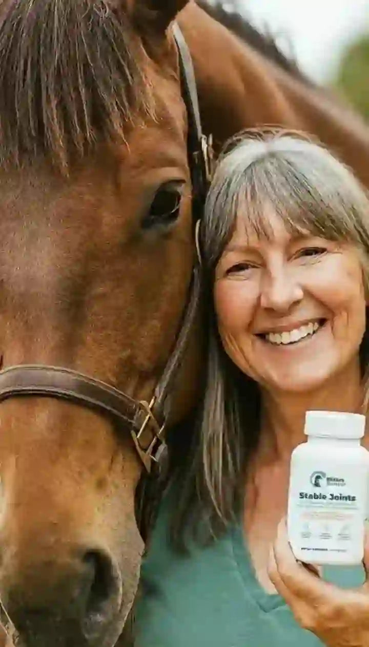 Happy Horse Rider 2