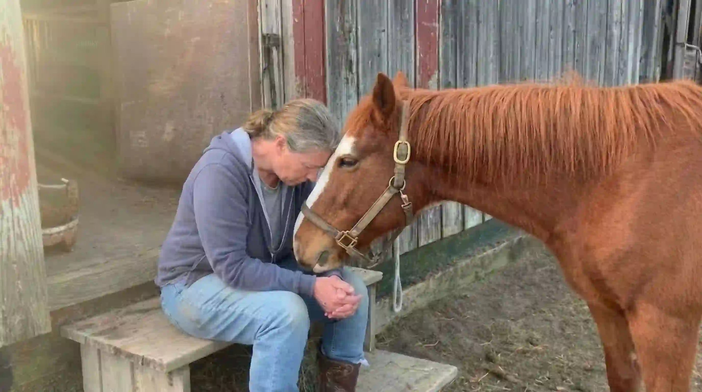 Horsewoman