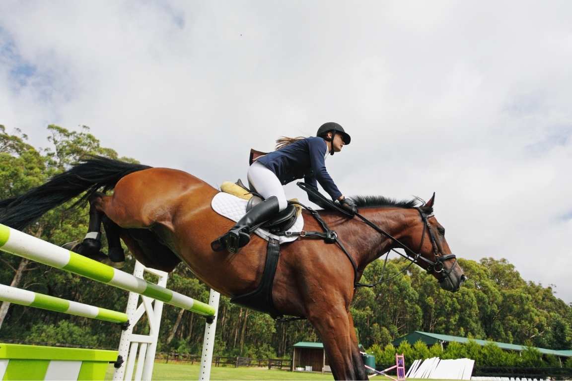 Horse Rider Performance