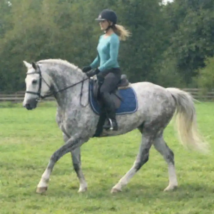 Stable Greens Review ie ai 2